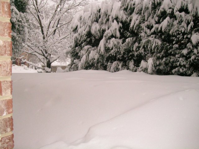 snow1019.jpg