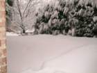 snow1019_small.jpg