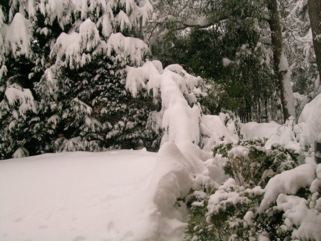 snow1020.jpg