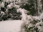 snow1020_small.jpg