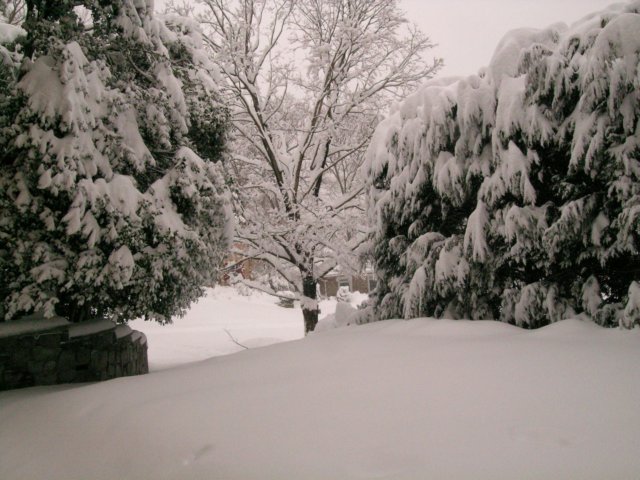 snow1021.jpg