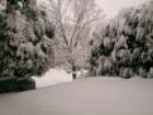 snow1021_small.jpg