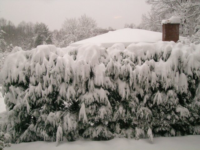 snow1022.jpg