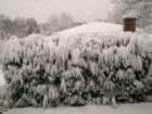 snow1022_small.jpg