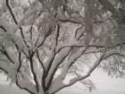 snow1023_small.jpg