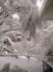 snow1024_small.jpg