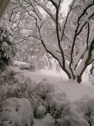 snow1025.jpg