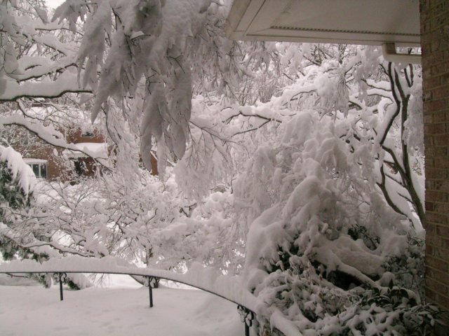 snow1026.jpg