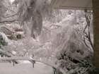 snow1026_small.jpg