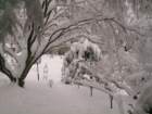 snow1027_small.jpg