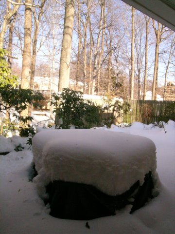 snow1028.jpg