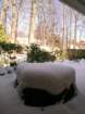 snow1028_small.jpg